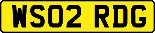 WS02RDG