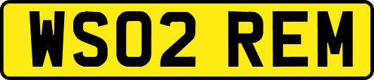 WS02REM