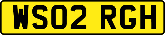 WS02RGH