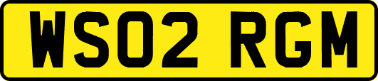 WS02RGM
