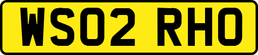 WS02RHO