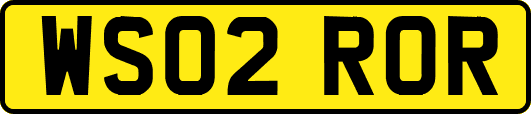 WS02ROR