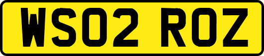 WS02ROZ