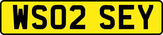 WS02SEY