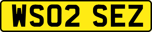 WS02SEZ