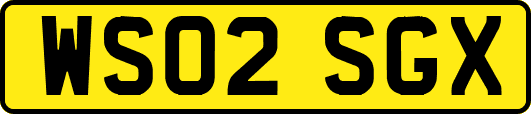 WS02SGX