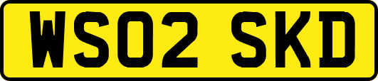 WS02SKD