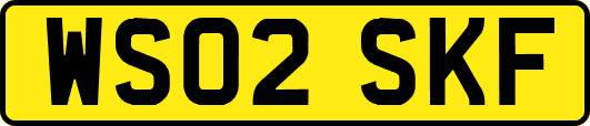 WS02SKF