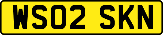 WS02SKN