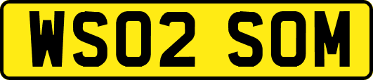 WS02SOM