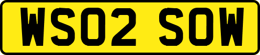 WS02SOW