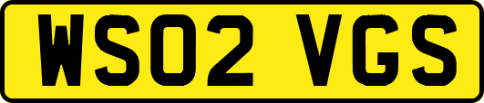 WS02VGS
