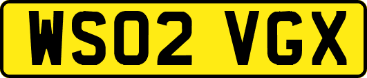 WS02VGX