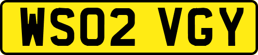 WS02VGY