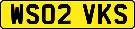 WS02VKS