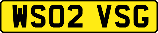 WS02VSG