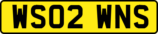 WS02WNS