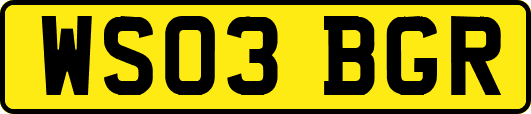 WS03BGR