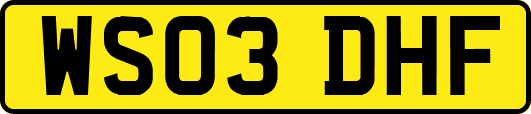 WS03DHF