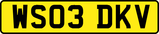 WS03DKV