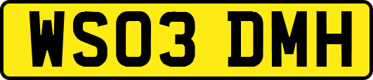 WS03DMH