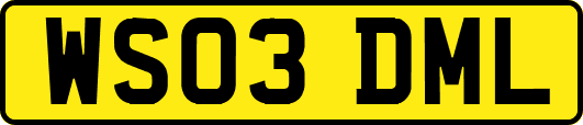 WS03DML