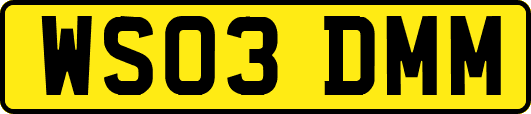 WS03DMM