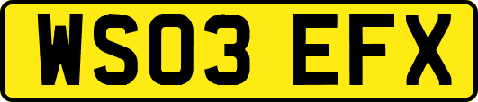 WS03EFX