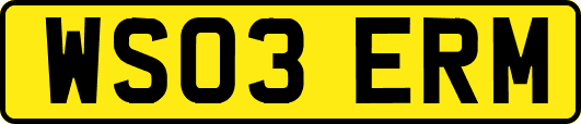 WS03ERM