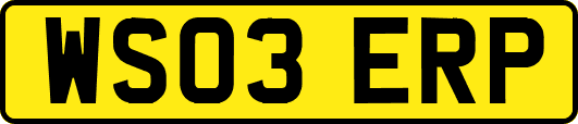 WS03ERP