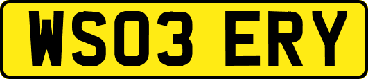 WS03ERY