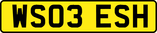 WS03ESH