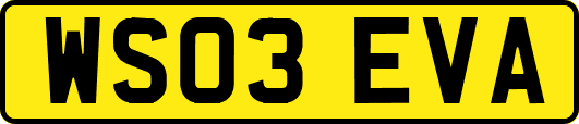 WS03EVA