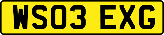 WS03EXG