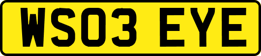 WS03EYE