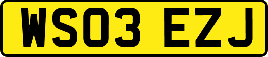WS03EZJ