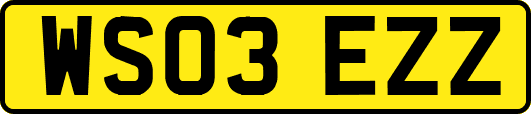 WS03EZZ