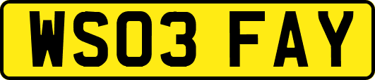 WS03FAY