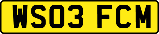 WS03FCM