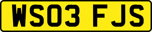 WS03FJS