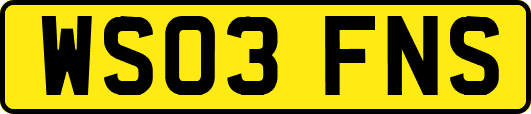 WS03FNS