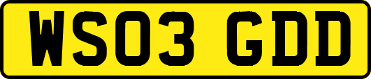 WS03GDD