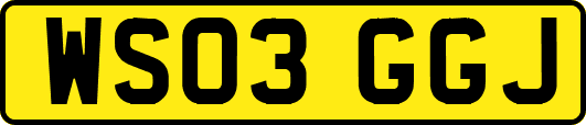 WS03GGJ
