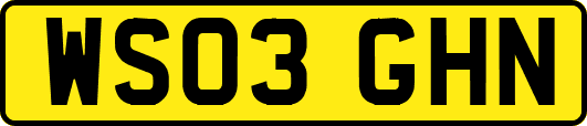 WS03GHN