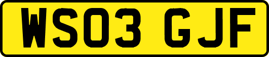WS03GJF
