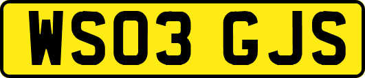 WS03GJS