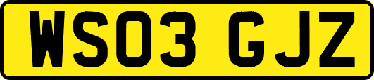 WS03GJZ