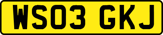 WS03GKJ