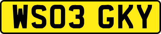 WS03GKY
