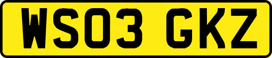 WS03GKZ